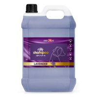 Cobbyspet AIKO LAVENDER SHAMPOO 5L šampon s levandulou pro psy