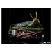 Soška Iron Studios Loki - Alligator Loki- Art Scale 1/10