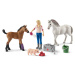 Schleich 424867 Návštěva lékaře u klisny a hříběte