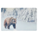 Rohožka Medvěd, 38 x 58 cm