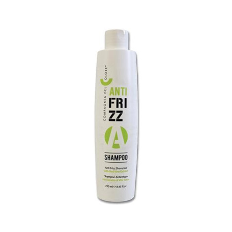 COMPAGNIA DEL COLORE Anti-Frizz Shampoo 250 ml