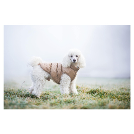 Vsepropejska Warm zimní bunda pro psa s kožichem Barva: Béžová, Délka zad (cm): 44, Obvod hrudní