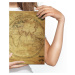 MyBestHome BOX Plátno Historická Mapa Světa Z 19. Století Varianta: 120x80