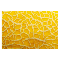 melon texture background close up macro,, 40 × 26.7 cm