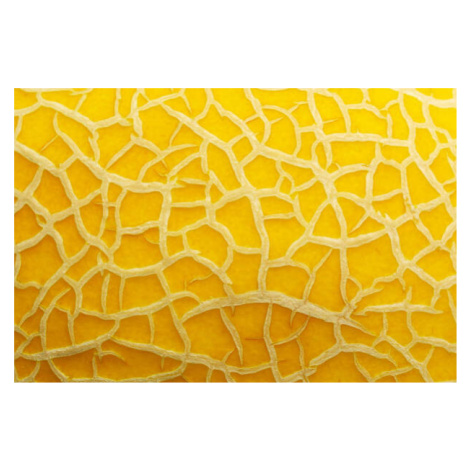 Umělecká fotografie melon texture background close up macro, Алексей Филатов, (40 x 26.7 cm)