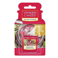 YANKEE CANDLE Red Raspberry 24 g