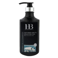 H&B Dead Sea Minerals Sprchový gel a šampon pro muže 780 ml
