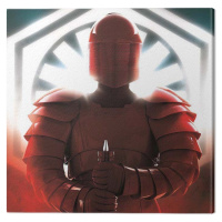 Obraz na plátně Star Wars The Last Jedi - Elite Guard Defend, 2 - 40×40 cm