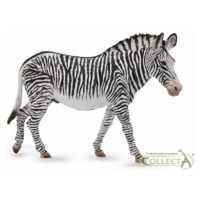 Zebra Grevyho COLLECTA