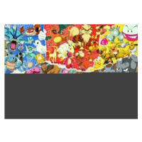 Puzzle Pokémon 1000 dílků