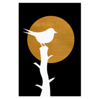 Ilustrace Bird, MadKat, 26.7x40 cm