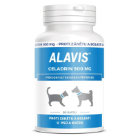 Alavis Celadrin 500mg - Expirace 30/01/2025