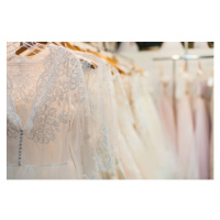 Fotografie Many wedding dresses, Silk-stocking, 40x26.7 cm
