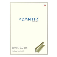 DANTIK rámeček 50 × 70, ALU profil 7269 zlatý matný plexi čiré