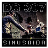 DG 307: Sinusoida