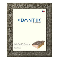 DANTIK rámeček 40 × 50, Dora Silver plexi čiré