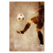 Ilustrace Football Soccer 2, Justyna Jaszke, 30 × 40 cm