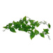 Lucky Reptile Jungle Vine Philo Vine 200 cm