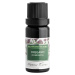 Nobilis Tilia Oregano (Dobromysl) 10 ml