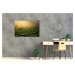 Impresi Obraz Východ slunce čajovníková plantáž - 60 x 40 cm