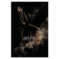 Umělecký tisk Harry Potter and the Goblet of Fire - Cedric, 26.7x40 cm