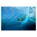 Fotografie Female Pro surfer at Cloud Break Fiji, Justin Lewis, 40x26.7 cm