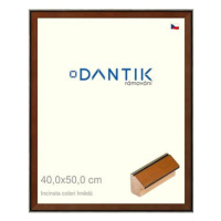 DANTIK rámeček 40 × 50, INCLINATA colori hnědý plexi čiré