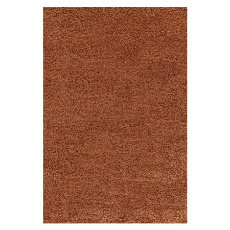 Ayyildiz koberce Kusový koberec Life Shaggy 1500 terra Rozměry koberců: 80x150