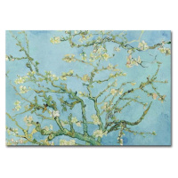 Nástěnná reprodukce na plátně Vincent Van Gogh Almond Blossom, 100 x 70 cm