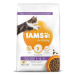 IAMS Cat Kitten Chicken 10 kg