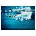 Fotografie Female swimmer underwater in pool, Henrik Sorensen, 40 × 30 cm