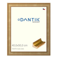 DANTIK rámeček 40 × 50, TOOTH malý zlatý sklo čiré