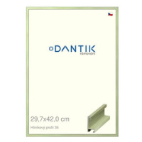 DANTIK rámeček 29,7 × 42, ALU profil 6035 Dýha barevný zelený pastel plexi čiré