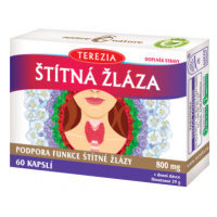 TEREZIA ŠTÍTNÁ ŽLÁZA cps.60