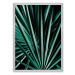 Dekoria Plakát Dark Palm Tree, 70 x 100 cm, Volba rámku: Stříbrný