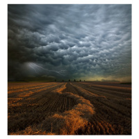 Fotografie Mammatus, NicolasSchumacher, 40 × 40 cm