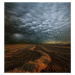 Fotografie Mammatus, NicolasSchumacher, 40 × 40 cm