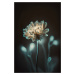 Umělecká fotografie Inner Glowing, Treechild, (26.7 x 40 cm)