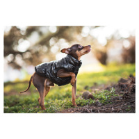 Vsepropejska Warm zimní bunda pro psa s kožichem Barva: Černá, Délka zad (cm): 19, Obvod hrudník