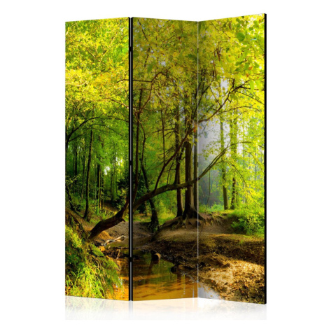 Paraván Forest Clearing Dekorhome 225x172 cm (5-dílný) Artgeist