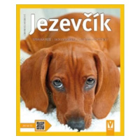 Jezevčík - Jak na to