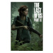 Plakát The Last of Us 2 - Ellie (10)