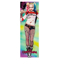 Plakát, Obraz - Sebevražedný oddíl - Harley Quinn, (53 x 158 cm)