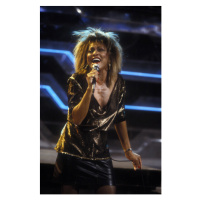 Fotografie Tina Turner, 1990, 26.7 × 40 cm