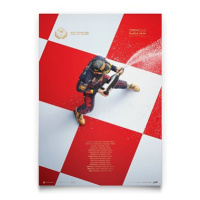 Red Bull Max V WChamp Design Print