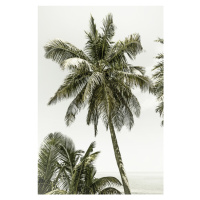 Fotografie Palm Trees at the beach | Vintage, Melanie Viola, 26.7x40 cm