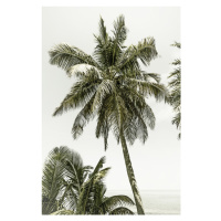 Fotografie Palm Trees at the beach | Vintage, Melanie Viola, 26.7 × 40 cm