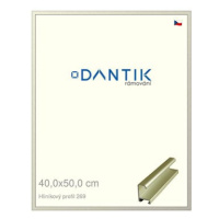 DANTIK rámeček 40 × 50, ALU profil 7269 zlatý matný plexi čiré