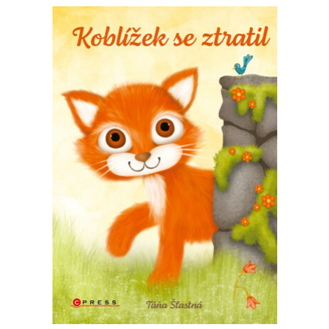 Koblížek se ztratil - Táňa Šťastná CPRESS
