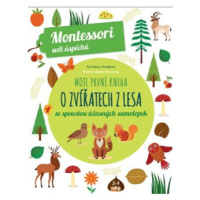 Moje první kniha o zvířatech z lesa (Montessori: Svět úspěchů) - Chiara Piroddiová